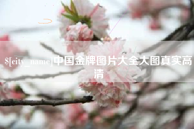 宣城中国金牌图片大全大图真实高清