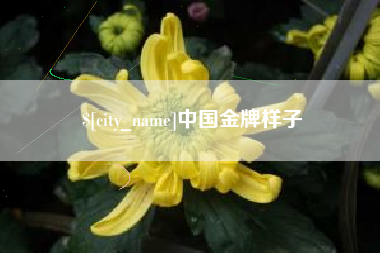 宣城中国金牌样子