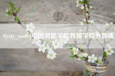 宣城中国消防学院救援学院分数线
