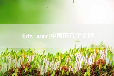 宣城中国的几个金牌