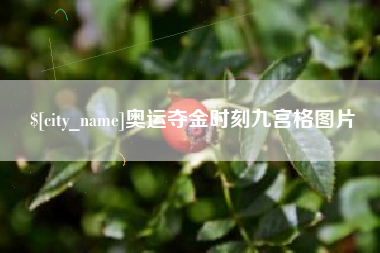 宣城奥运夺金时刻九宫格图片