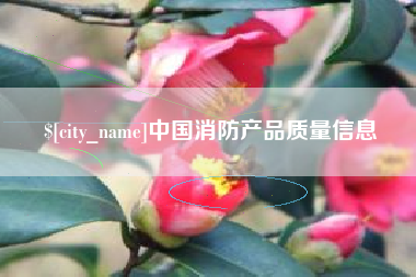 宣城中国消防产品质量信息