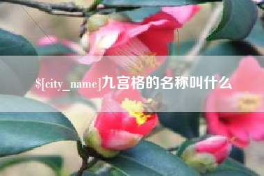 宣城九宫格的名称叫什么