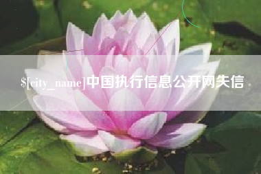 宣城中国执行信息公开网失信