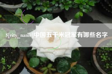 宣城中国五千米冠军有哪些名字