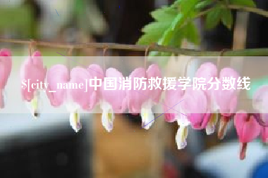 宣城中国消防救援学院分数线