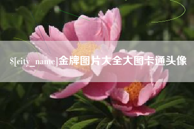 宣城金牌图片大全大图卡通头像