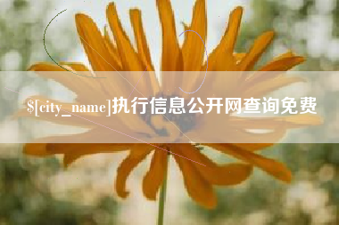宣城执行信息公开网查询免费