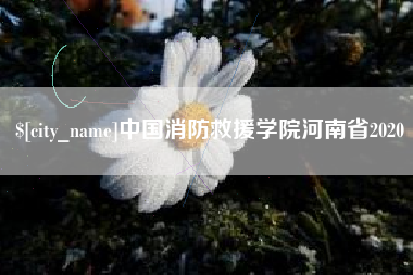 宣城中国消防救援学院河南省2020
